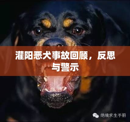 灌阳恶犬事故回顾，反思与警示