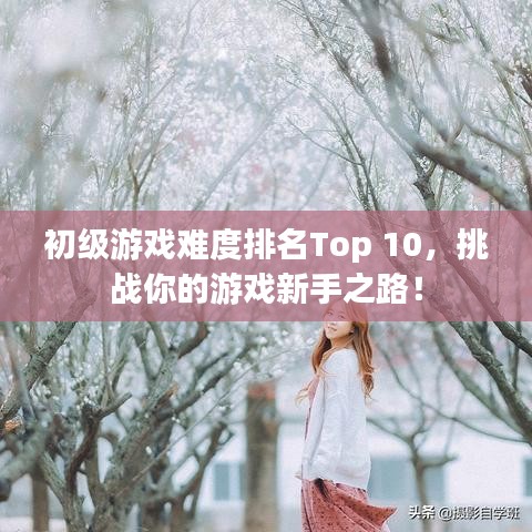 初级游戏难度排名Top 10，挑战你的游戏新手之路！