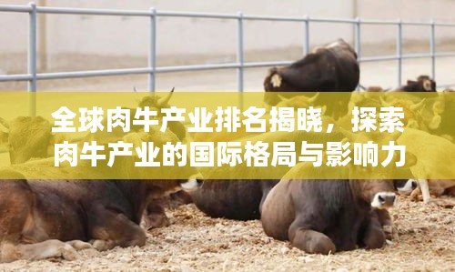 全球肉牛产业排名揭晓，探索肉牛产业的国际格局与影响力视频