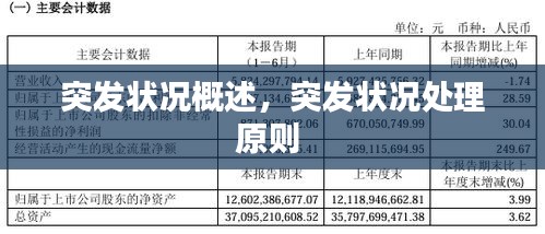 突发状况概述，突发状况处理原则 