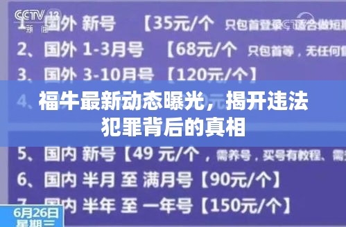 福牛最新动态曝光，揭开违法犯罪背后的真相