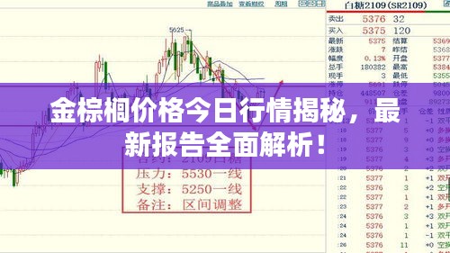 金棕榈价格今日行情揭秘，最新报告全面解析！