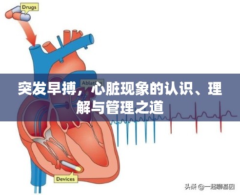 案例 第66页