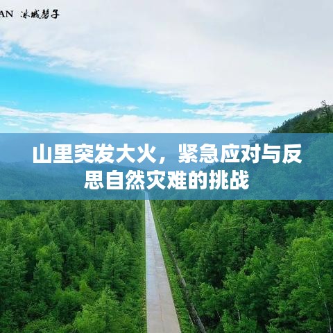 山里突发大火，紧急应对与反思自然灾难的挑战