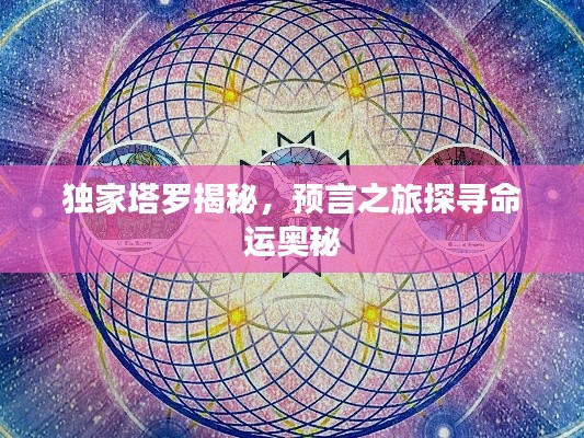 独家塔罗揭秘，预言之旅探寻命运奥秘