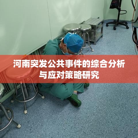 河南突发公共事件的综合分析与应对策略研究