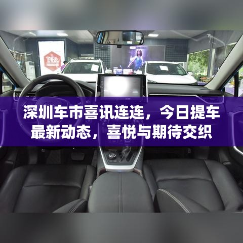 案例 第13页