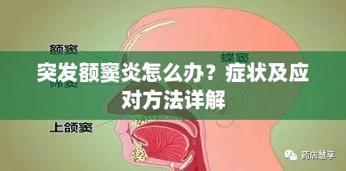 案例 第12页