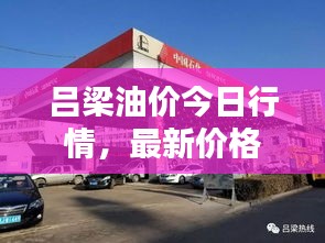 吕梁油价今日行情，最新价格动态与深度分析