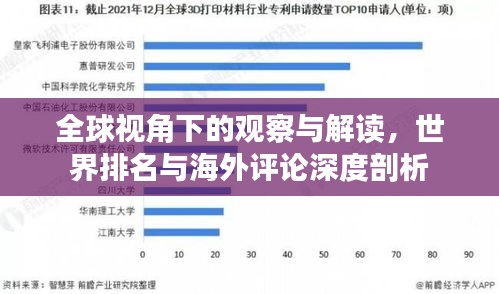 全球视角下的观察与解读，世界排名与海外评论深度剖析