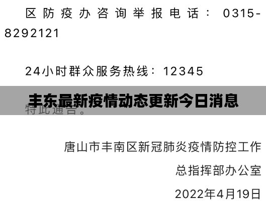 丰东最新疫情动态更新今日消息