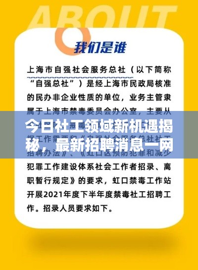 今日社工领域新机遇揭秘，最新招聘消息一网打尽