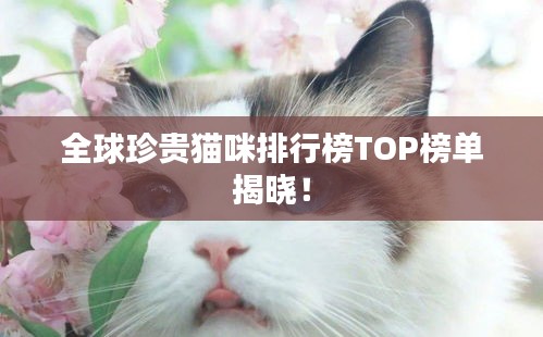 全球珍贵猫咪排行榜TOP榜单揭晓！