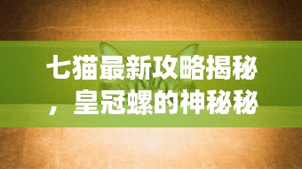 七猫最新攻略揭秘，皇冠螺的神秘秘密