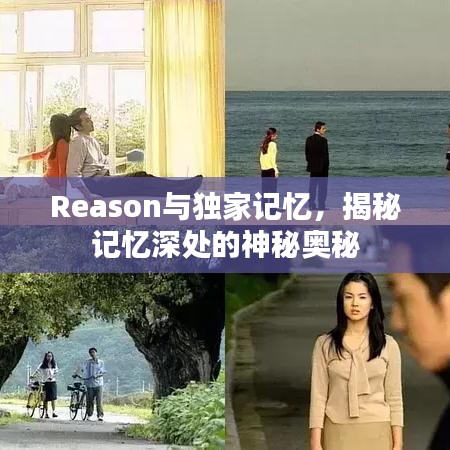 Reason与独家记忆，揭秘记忆深处的神秘奥秘