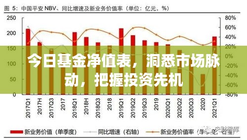 今日基金净值表，洞悉市场脉动，把握投资先机
