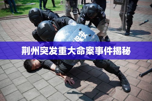 荆州突发重大命案事件揭秘