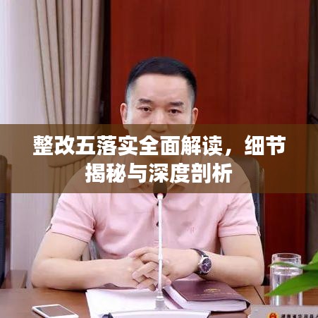 整改五落实全面解读，细节揭秘与深度剖析
