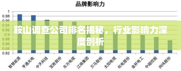 鞍山调查公司排名揭秘，行业影响力深度剖析