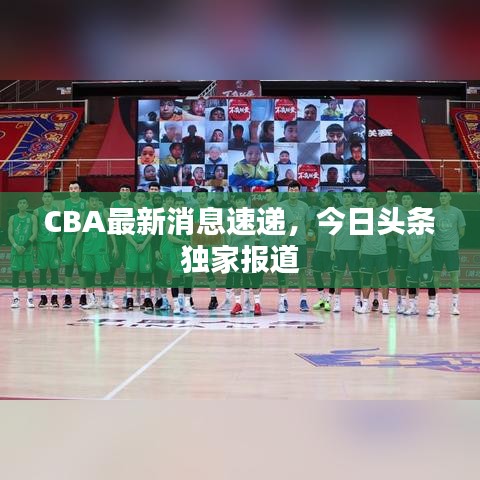 CBA最新消息速递，今日头条独家报道