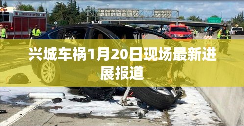 兴城车祸1月20日现场最新进展报道