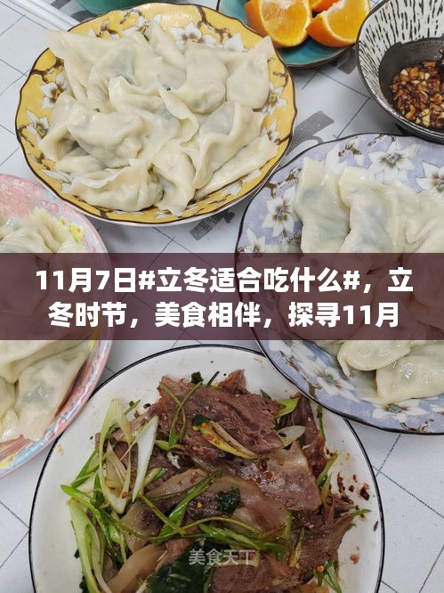 立冬时节的美食相伴，探寻温暖食养之道，11月7日的健康饮食选择