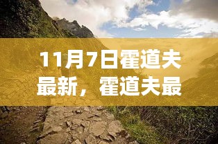 霍道夫最新动态，多维度视角的深度解读与观点碰撞（11月7日更新）