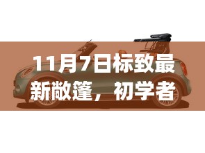 初学者与进阶用户必看，11月7日标致最新敞篷购车指南与全攻略