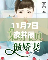 揭秘井辰唐心瑶最新章节，情感与命运的交织之夜（专刊）