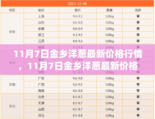 11月7日金乡洋葱行情揭秘，价格走势背后的市场洞察