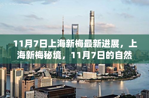 上海新梅秘境，心灵港湾的自然探索之旅（11月7日最新进展）