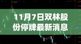 双林股份停牌最新消息揭秘与小巷美食探秘之旅