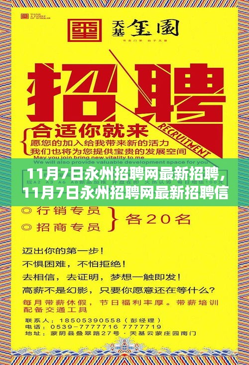 11月7日永州招聘网最新招聘信息及职业机会探索