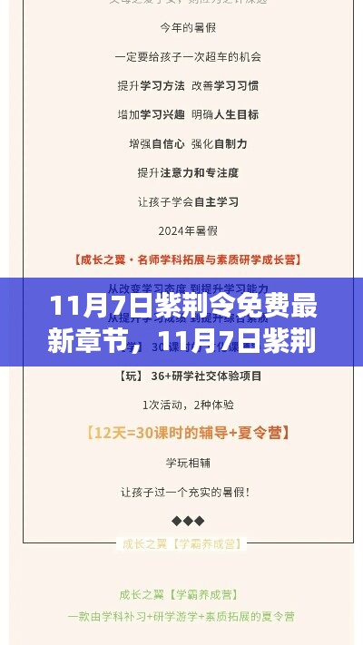 变化中学习，紫荆令铸就自信与成就感的魔法之旅（最新章节免费阅读）