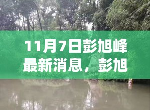 彭旭峰最新动态及要点解析（11月7日更新）