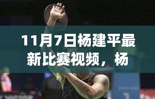 杨建平最新比赛视频，赛场风采与实力展现，11月7日精彩对决回顾