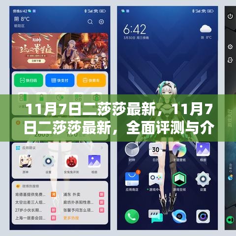 11月7日二莎莎全面评测与介绍，最新资讯一网打尽