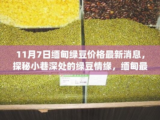 探秘缅甸绿豆情缘，最新价格与美味故事（11月7日更新）