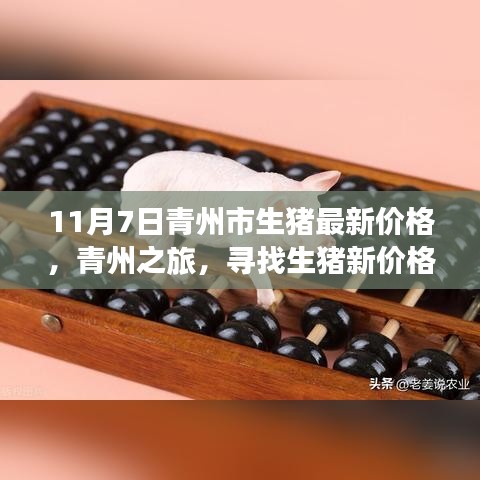 青州之旅，探寻生猪最新价格与心灵自然的和谐乐章（11月7日）