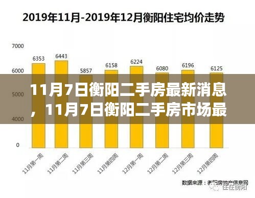 衡阳二手房市场最新动态解读，多方观点与个人立场阐述