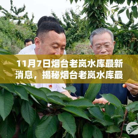 烟台老岚水库最新动态揭秘，11月7日更新，获取全攻略