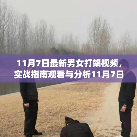 实战指南观看与分析，男女打架视频入门到进阶技能学习步骤解析