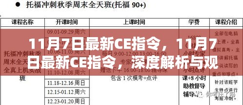 深度解析与观点阐述，最新CE指令详解（最新更新日期，11月7日）