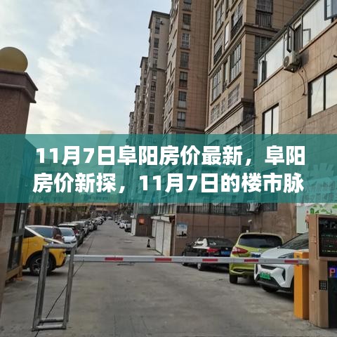 阜阳房价最新动态，11月7日楼市脉络与影响分析