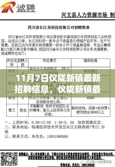 11月7日仪陇新镇最新招聘信息，职场人的新选择，机遇与挑战并存的机遇