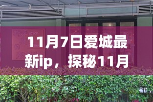 探秘爱城最新IP，巷弄深处的独特小店（11月7日更新）