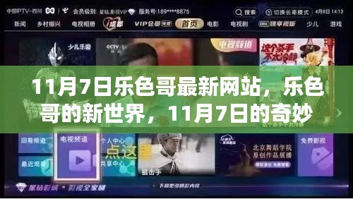 11月7日乐色哥最新网站，乐色哥的新世界，11月7日的奇妙日常