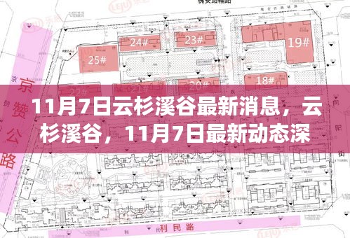 云杉溪谷最新动态深度评测，11月7日最新消息一览