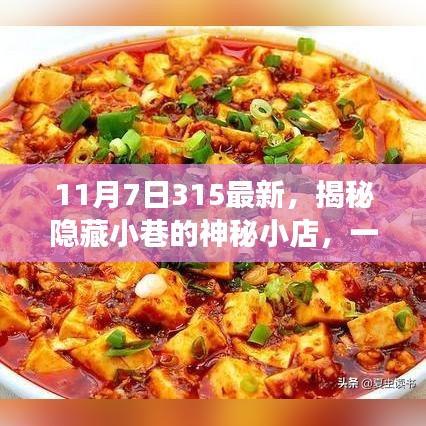 探寻神秘小巷美食，揭秘特色小店奇遇记——最新美食之旅（11月7日315版）