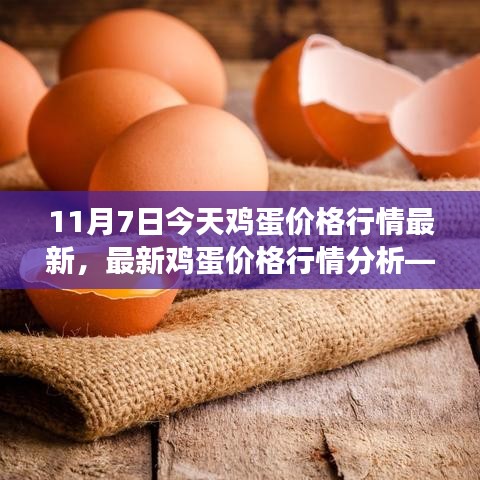 最新鸡蛋价格行情报告，11月7日的观察与分析